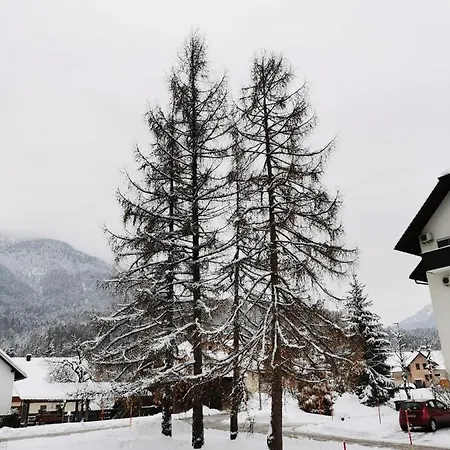 Apartmán Apartma Kuhar