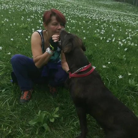 Apartma Kuhar Apartman Kranjska Gora