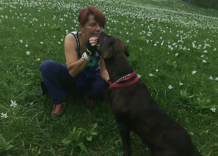 Apartma Kuhar Daire Kranjska Gora